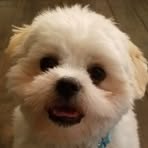 Brady Werner - Facebook