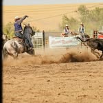 Brady White - @bradyjack2 - Instagram