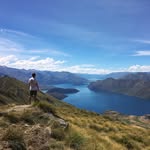 Brady - @bradywhitehead - Instagram