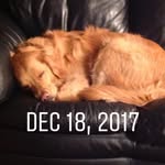 Brady Wilkinson - @bradywilkinson6696 - Instagram