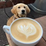 Brady Williamson - @bradykin_ - Instagram