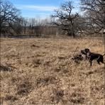 Brady Williamson - Facebook
