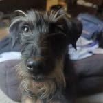 Brady Woods - @bradywilwoods1 - Instagram
