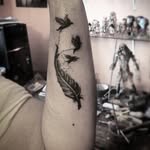 Brady Woods - @brady_woods_pcgr - Instagram