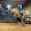 bradywoods18 - @bradywoods18 - TikTok