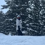 Brady Bludworth - @bradybludworth - Instagram