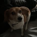 Brady Merworth - @bradymerworth - Instagram