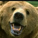 Brady Wright - @brady_bst34 - Instagram