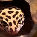 Brady Yates - Facebook