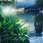 Braeden Bishop - Facebook