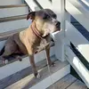 Braeden Gray - @braedengray183 - TikTok