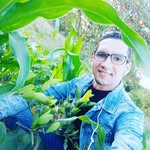Brahim Baali - @brahimbaali8 - Instagram