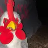 brandanthomas41 - @brandanthomas41 - TikTok