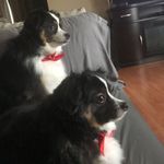Brande Smith - @charlie.0820 - Instagram