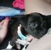 Brandie Mitchell - Facebook