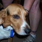 Brandy Curtis Stubbs - @curtisstubbs68 - Instagram