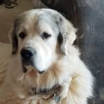 Brandy Stubbs Walker - @walkers.ranch - Instagram