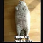 Branden Russell - @branden.russell2003 - Instagram