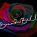 Brandi Bell - Facebook