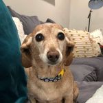 Brandi Brady - @pats.girl11 - Instagram