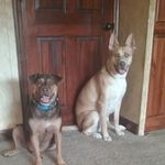 Brandi Cunningham Blackwell - @brandiblackwell60 - Instagram