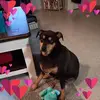 Brandie Cunningham - @brandie.cunningha - TikTok