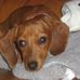 Brandy Griggs - Facebook