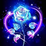 Brandi Key's - @brandi.keys.5855 - Instagram