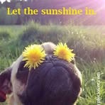 Brandi Lackey - Facebook