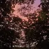brandimay435 - @brandimay435 - TikTok