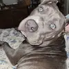 Brandi Odom - @brandiodom - TikTok