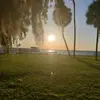 brandieodom - @brandieodom - TikTok