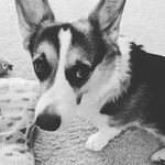 Brandi Shaffer - @brandi_v_1999 - Instagram