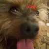 Brandin Shaffer - @brandin.shaffer - TikTok