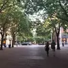 Brandi Wall738 - @turttle75 - TikTok