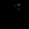 brandiewall - @brandiewall - TikTok