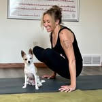 Brandy Delfinis Weber - @ashtangayogabrandy - Instagram