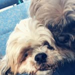 brandie_bailey63 - @brandie_bailey63 - Instagram
