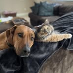 Brandie Lyons - Facebook