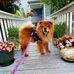 Brandi Murphy - Facebook