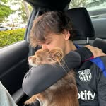 brandonabreu4 - @brandonabreu4 - Instagram