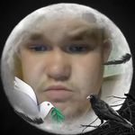 Brandon Allred - @allredbrandon59 - Instagram