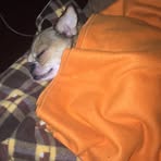 Brandon Alva - Facebook