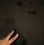 Brandon Ambriz - Facebook