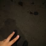 Brandon Ambriz - @brandonambriz375 - Instagram