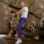 Brandon Anthony - @b_anth0ny - Instagram
