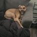 Brandon Archer - Facebook