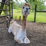 Brandon Armstrong - @thebrandonarmstrong - Instagram