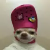 修勾 - @brandonashman1 - TikTok