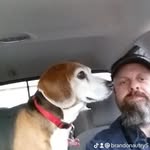 Brandon Autry - @brandonautry52 - Instagram